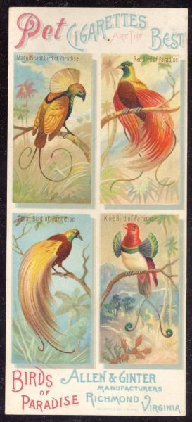 1889 Allen & Ginter Pet Cigarettes Birds